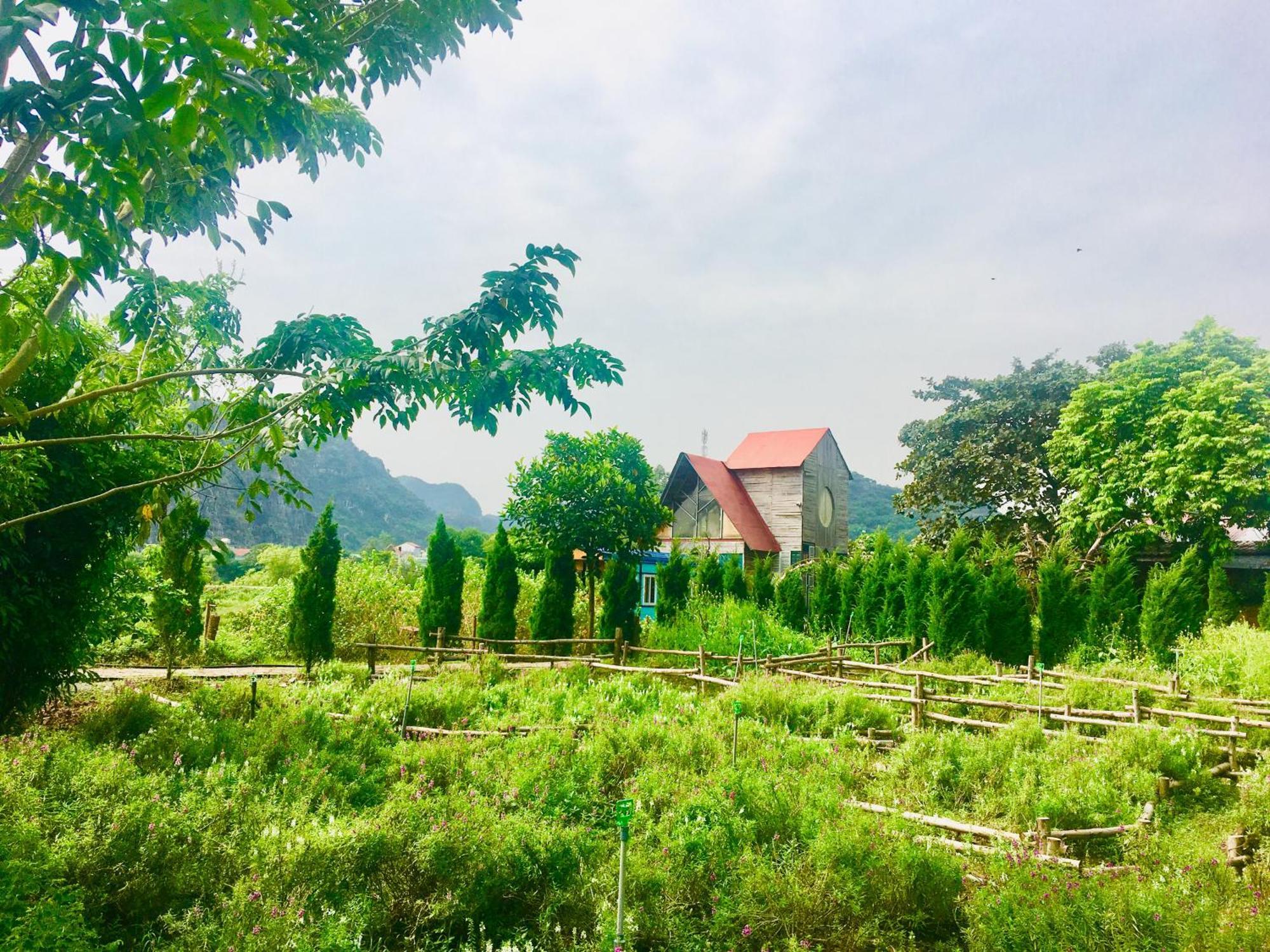 Hotel Trang An Secret Garden Ninh Binh Exteriér fotografie